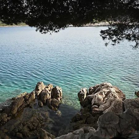 Antica Vrboska